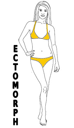 ECTOMORPH body type