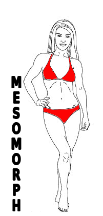 MESOMORPH body type